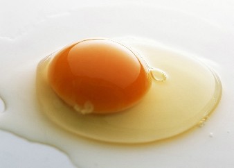 鸡蛋有哪些营养成分？鸡蛋的营养成分分析