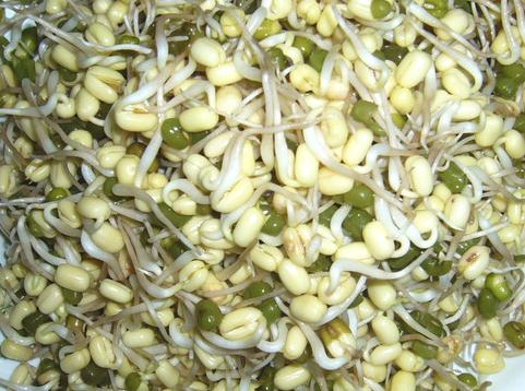 绿豆芽的营养价值-绿豆芽的功效与作用