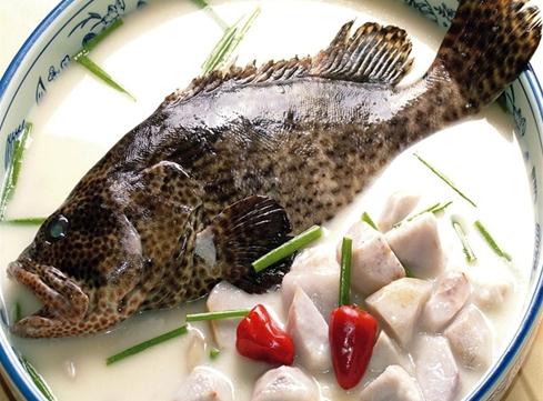 石斑鱼的营养价值-石斑鱼的食疗作用
