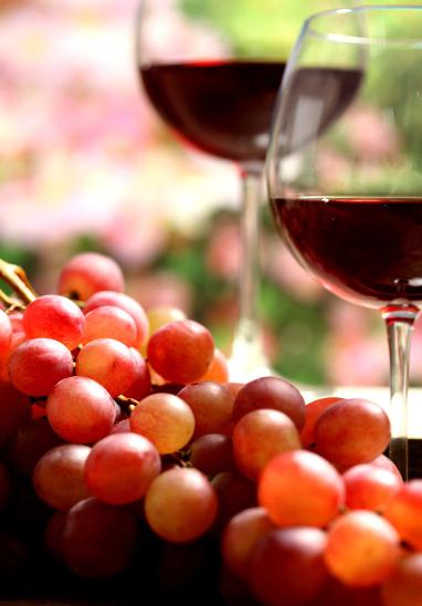 红酒素是什么？红酒素的营养作用，红葡萄籽提取物