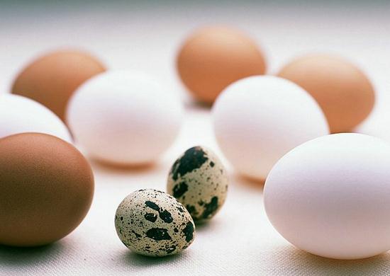 鹌鹑蛋的营养价值比鸡蛋高吗？鹌鹑蛋与鸡蛋营养价值