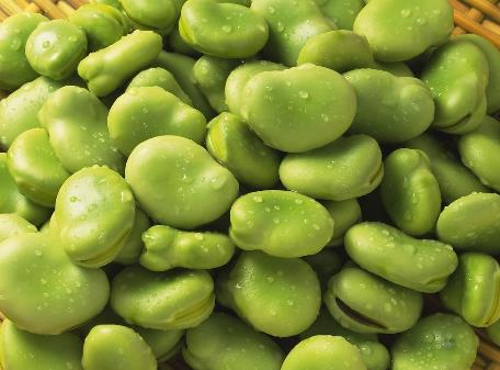 常吃蚕豆有什么好处？蚕豆的营养价值、功效与作用