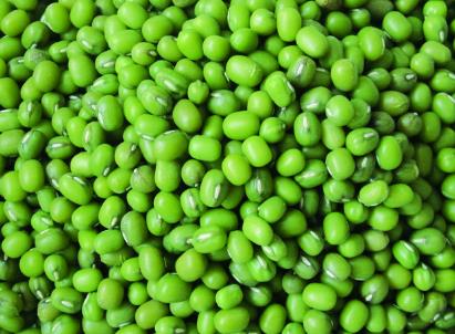 吃绿豆有什么好处？如何煮绿豆？绿豆的功效与作用
