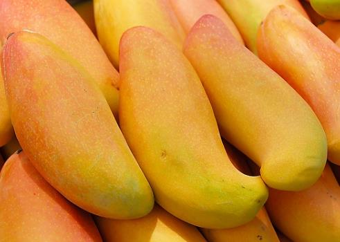 芒果的营养价值、功效与作用、食用禁忌