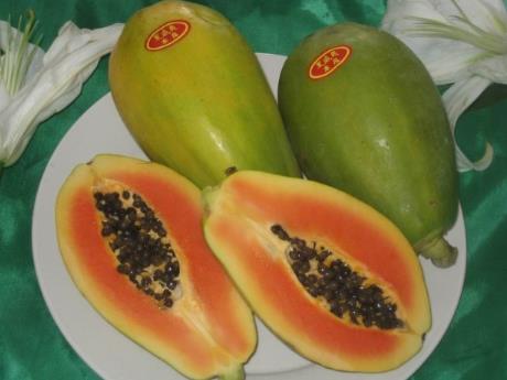 木瓜的营养价值、功效与作用、食用禁忌