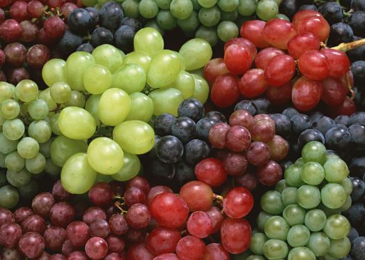 提子与葡萄的区别-提子与葡萄的营养价值
