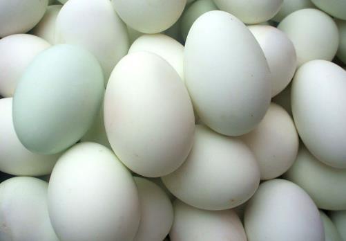 鸭蛋的营养价值-鸭蛋的功效与作用