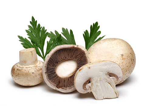香菇的营养价值与功效-花菇和香菇的区别