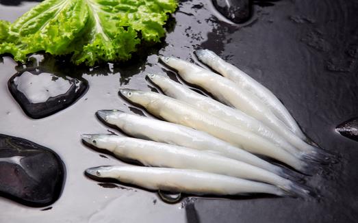 银鱼的营养与功效作用-银鱼的适宜人群