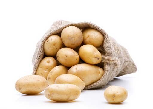 马铃薯的营养价值-马铃薯的种植技术