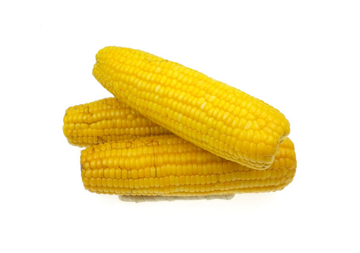 糯玉米的种植技术-糯玉米的功效与作用