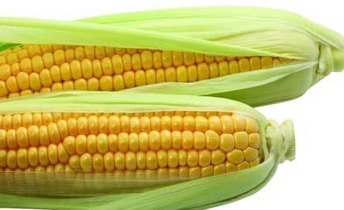 玉米为什么能防癌？玉米的五大营养价值