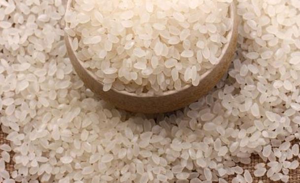 粳米是什么米 粳米是大米吗