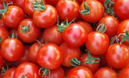 番茄可以美白祛斑 番茄的6大功效盘点