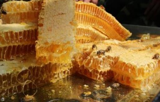 蜂蜜被称为平价燕窝 储存方法有讲究