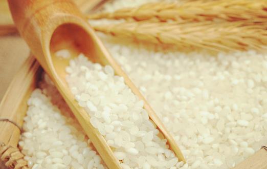 日常生活中吃到的米 米的种类与营养价值