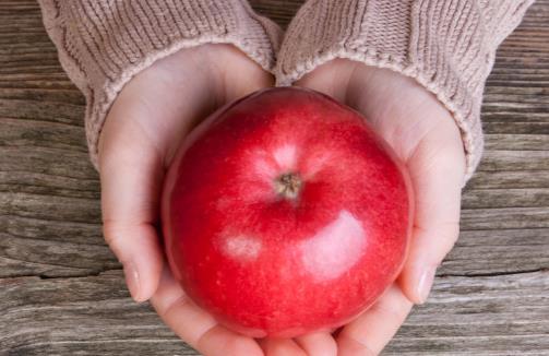 苹果誉为四大水果之首 苹果的日常保鲜小妙招