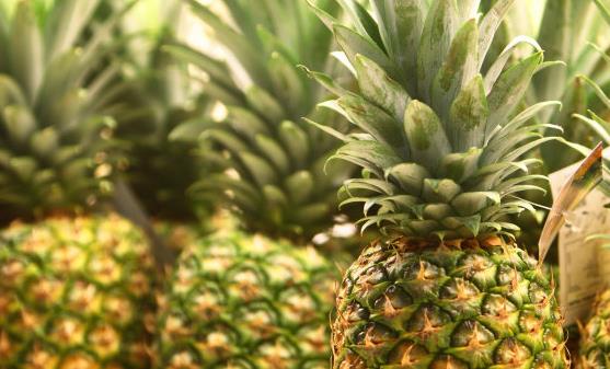 菠萝的7大养生功效 史上最全菠萝美食做法