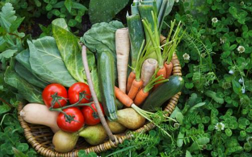 国民蔬果摄入不足 蔬果吃太少对身体的影响大