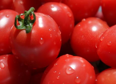 西红柿怎么做好吃？西红柿的做法大全