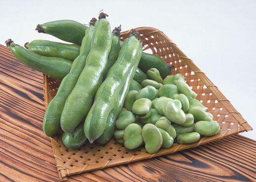 蚕豆的做法-蚕豆的营养价值