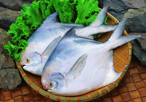 红烧鲳鱼的做法-清蒸鲳鱼的做法