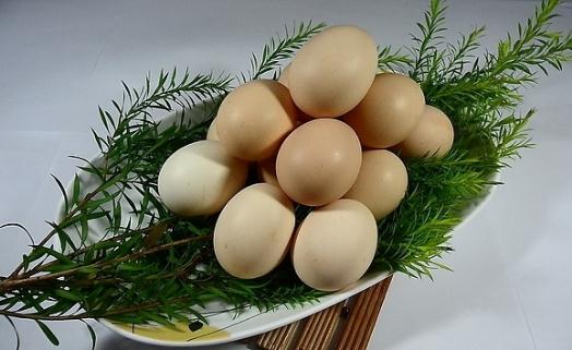 鸡蛋的吃法大全：海带苡仁蛋汤的做法
