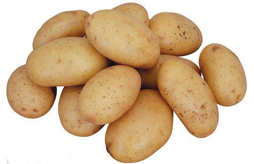 土豆营养价值高 介绍几种土豆做菜的窍门