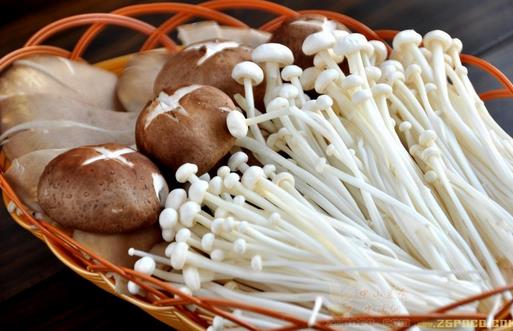 7种蘑菇的家常烹饪窍门