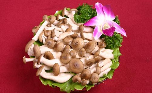 蟹味菇的营养价值 蟹味菇的做法大全
