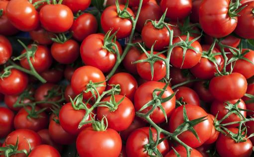 能抗氧化的西红柿吃法大全 应该生吃熟吃空腹吃