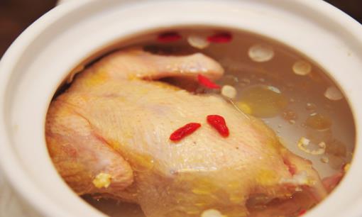 乳鸽汤补肾补充机体的活力 乳鸽汤的六种简单做法 