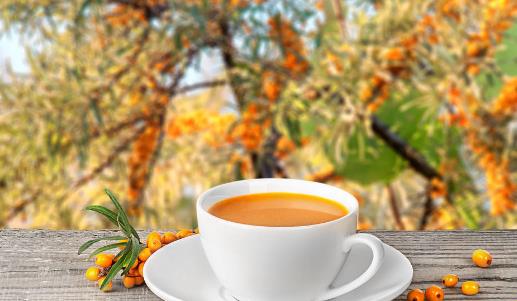常感冒不妨喝这六款茶 提高免疫力抗衰老