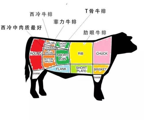 牛扒选牛的哪个部位  牛扒是牛的哪个部位做的