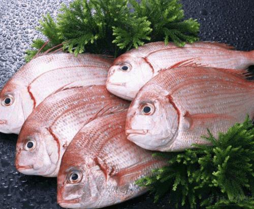 鱼的营养价值  鱼的营养价值及功效与作用