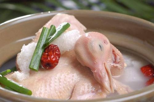 鸽子汤的营养价值  鸽子营养价值比鸡高吗