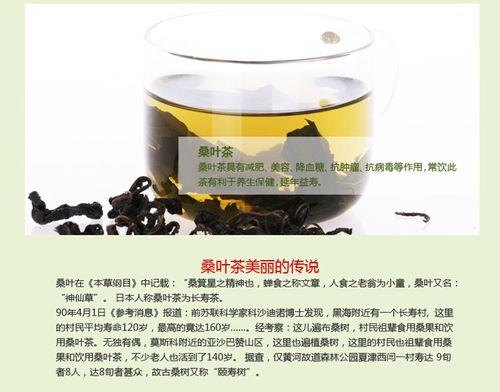 桑叶茶的功效  桑叶茶的功效与作用及禁忌