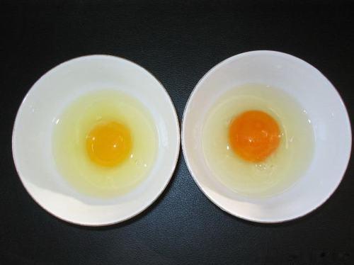 如何辨别人造鸡蛋  如何辨别人造蛋和真鸡蛋