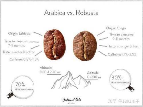 咖啡豆的种类  咖啡豆的种类及口味