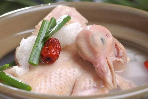 鸽子肉的食疗作用及功效  鸽子的食疗和作用及禁忌