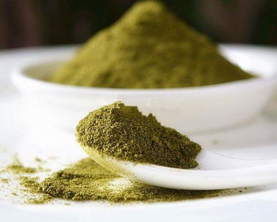 吃绿茶粉上火吗？绿茶粉的营养价值有哪些