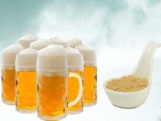 啤酒酵母的功效与作用