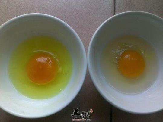 鸡蛋清妙用有哪些