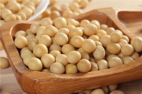 醋泡黄豆：黄豆也可以去除雀斑  醋泡黄豆的方法