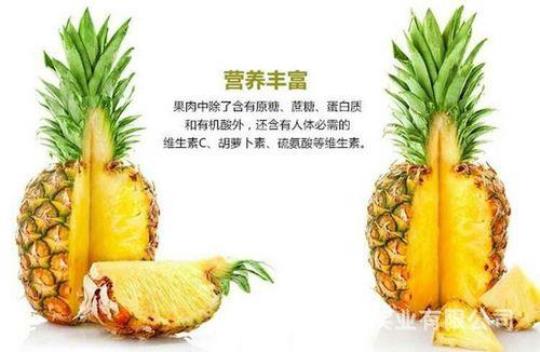 菠萝的营养价值 肉质细嫩 水分含量高