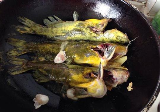 黄颡鱼的营养价值