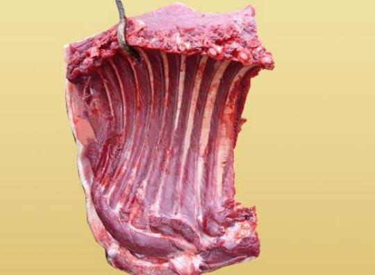 野猪肉炖汤营养价值