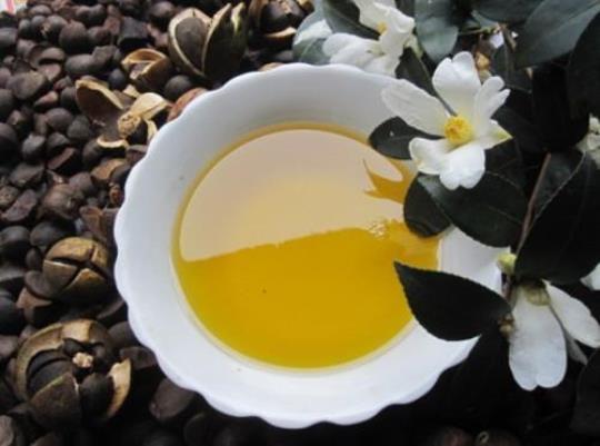 野生山茶油的保健功效