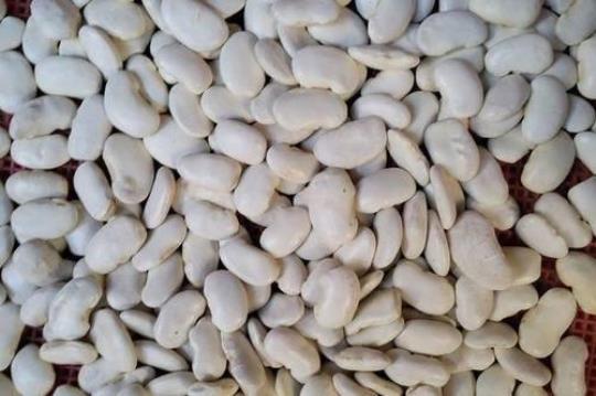 ?白芸豆的营养价值和功效