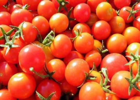 樱桃番茄的营养价值